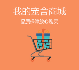 案例：寵舍網建設優化