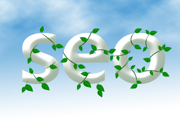 網(wǎng)站優(yōu)化如何進行一個完整的站內(nèi)優(yōu)化？